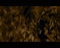 PDVD_2115