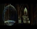 PDVD_2584
