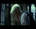PDVD_2586