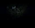 PDVD_3193