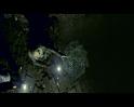 PDVD_3213