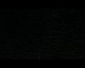 PDVD_3221