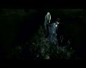 PDVD_3238