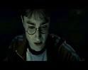 PDVD_3342