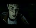 PDVD_3343