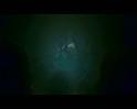 PDVD_3396