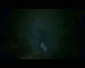 PDVD_3398