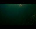 PDVD_3405