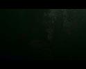 PDVD_3408