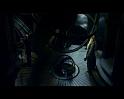 PDVD_3504