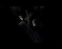 PDVD_3529