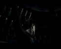 PDVD_3530