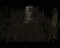 PDVD_3612