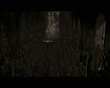 PDVD_3613
