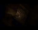 PDVD_3722