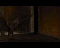 PDVD_507