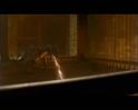 PDVD_508
