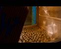 PDVD_509
