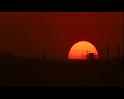 PDVD_1195