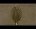 PDVD_193