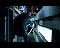 PDVD_876