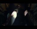PDVD_899