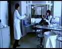PDVD_1237