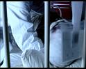 PDVD_1253
