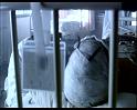PDVD_1254
