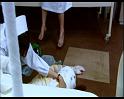 PDVD_313