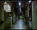 PDVD_509