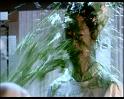 PDVD_951
