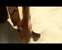 PDVD_1191
