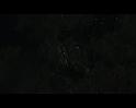 PDVD_2694