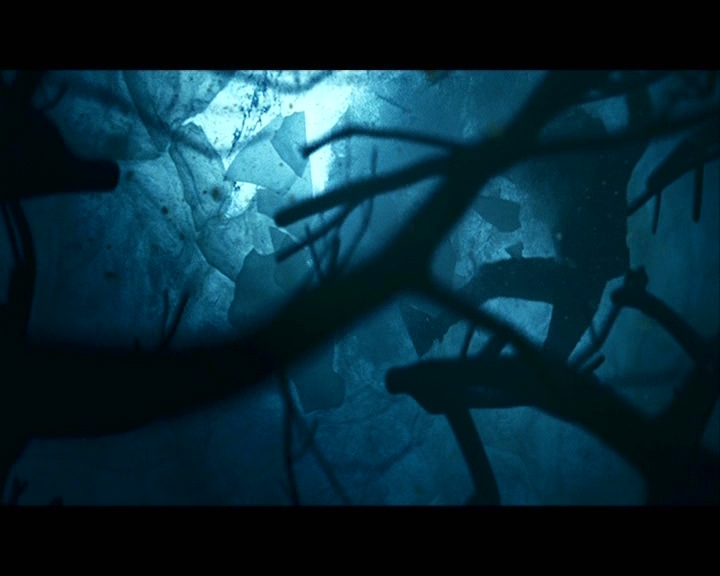 PDVD_057.jpg