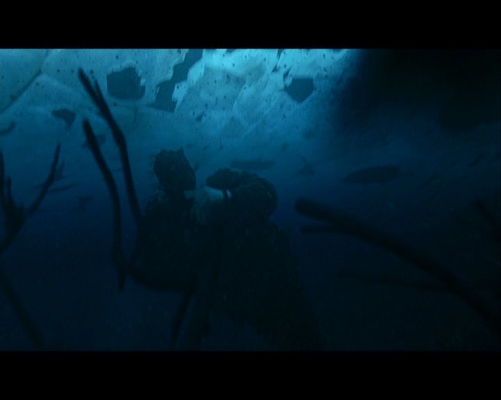 PDVD_058.jpg