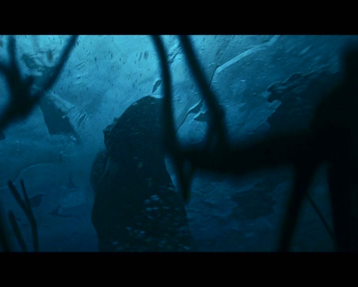 PDVD_059.jpg