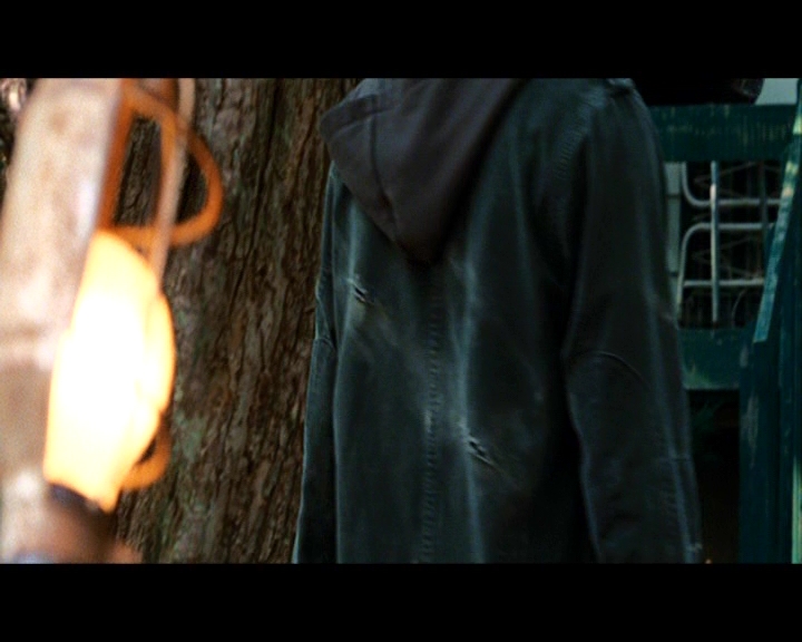 PDVD_1160.jpg