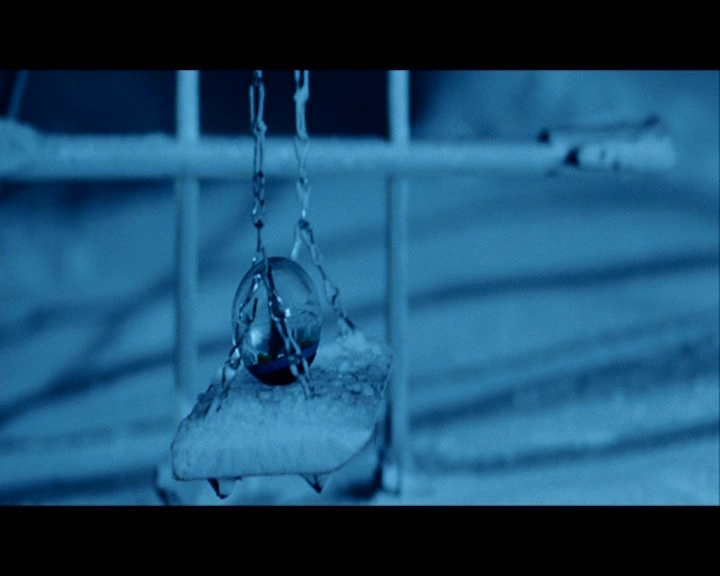 PDVD_159.jpg