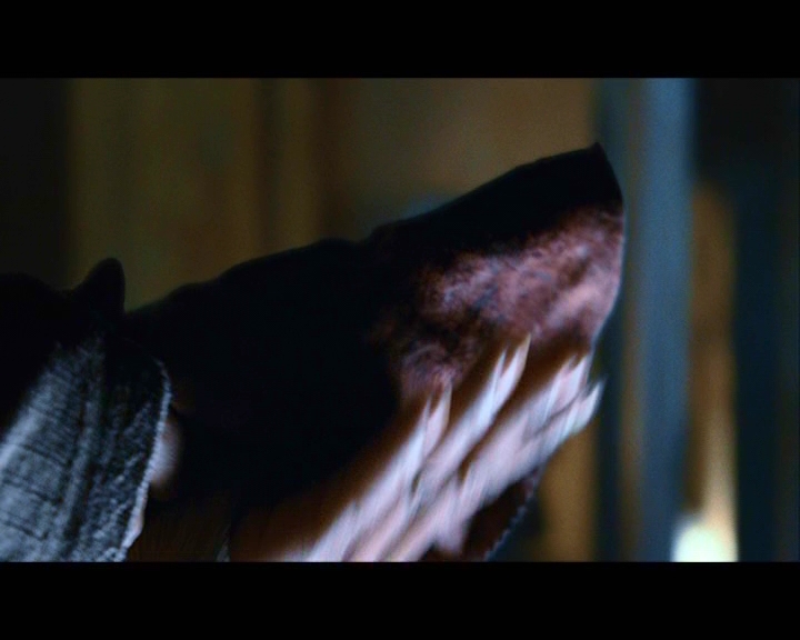 PDVD_1629.jpg
