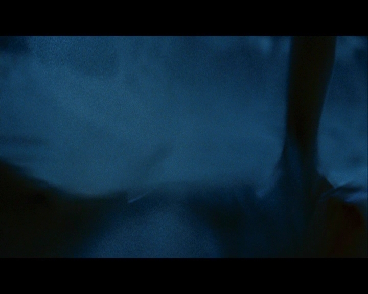 PDVD_1651.jpg