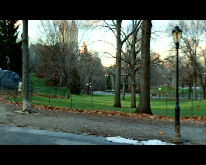 PDVD_185.jpg