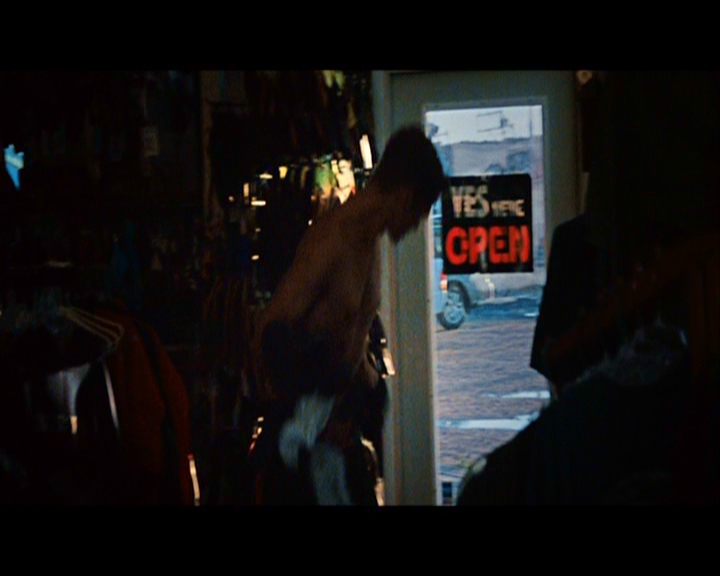 PDVD_317.jpg