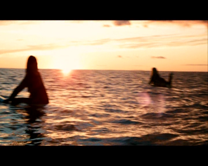 PDVD_320.jpg