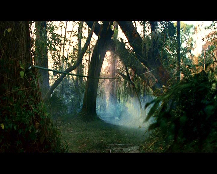 PDVD_340.jpg