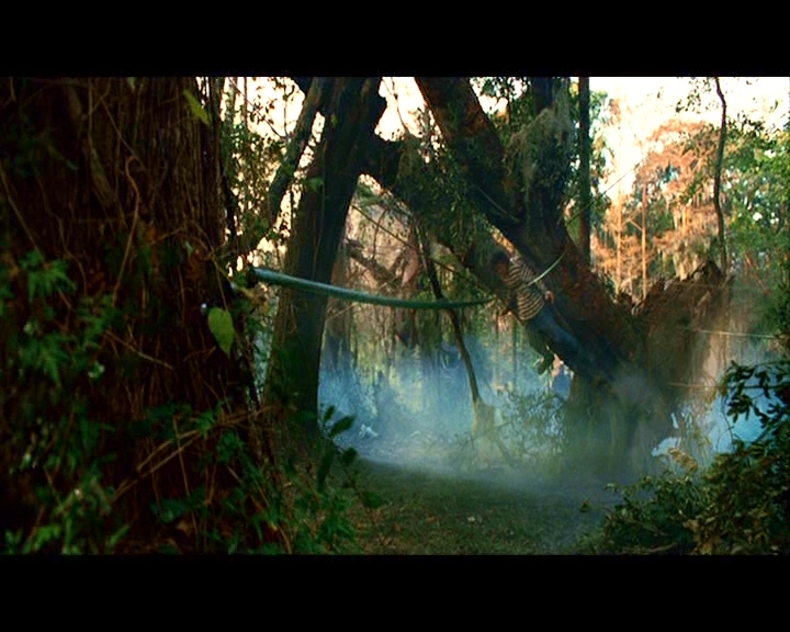 PDVD_341.jpg