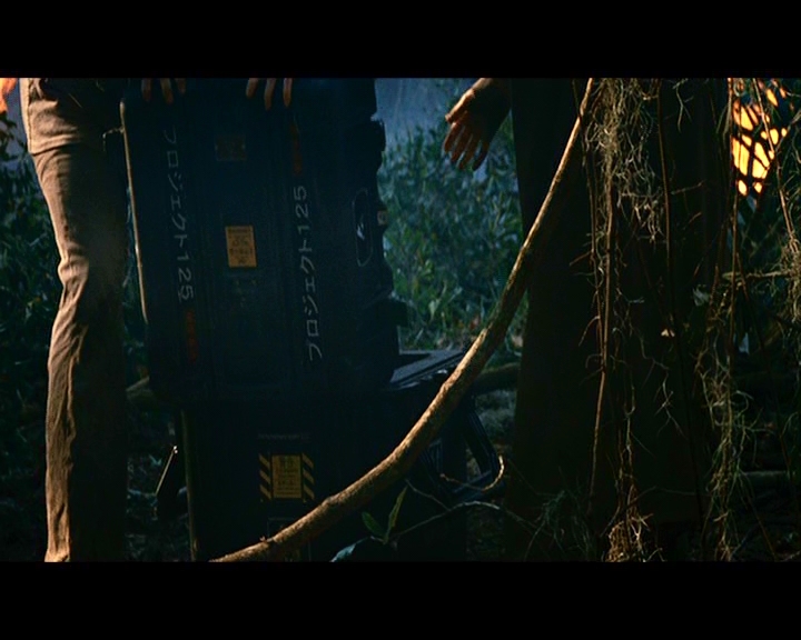 PDVD_342.jpg