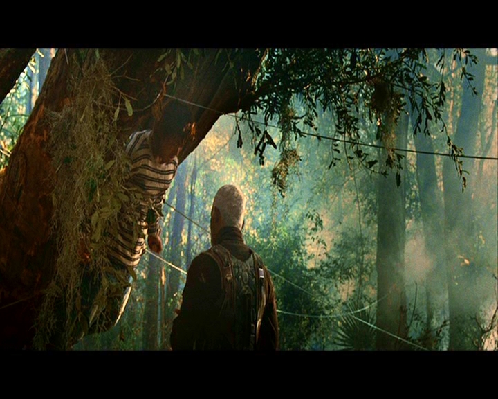 PDVD_349.jpg