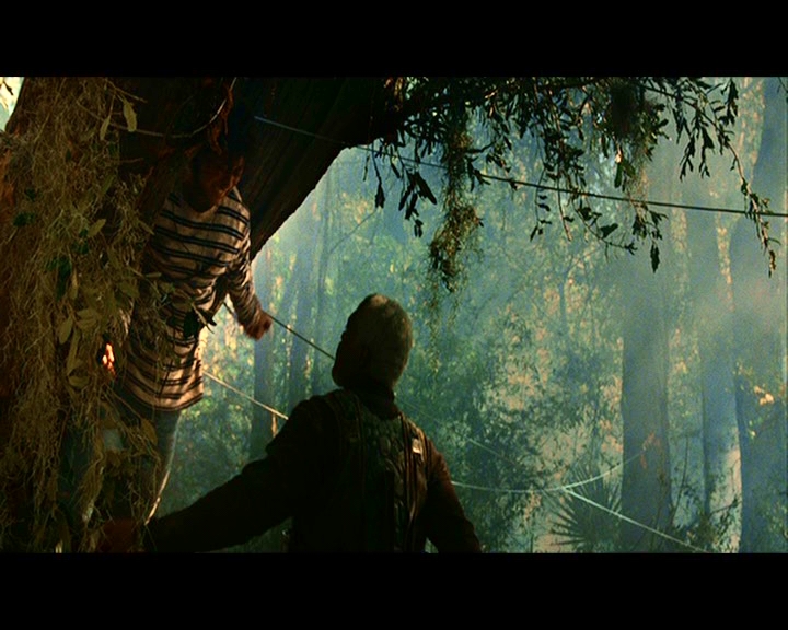 PDVD_352.jpg