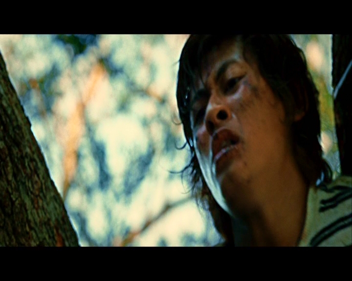 PDVD_355.jpg